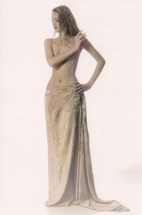 Шейпинг-модель ФШПО